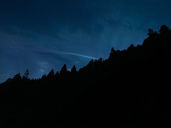 深沢の森ナイトツアー