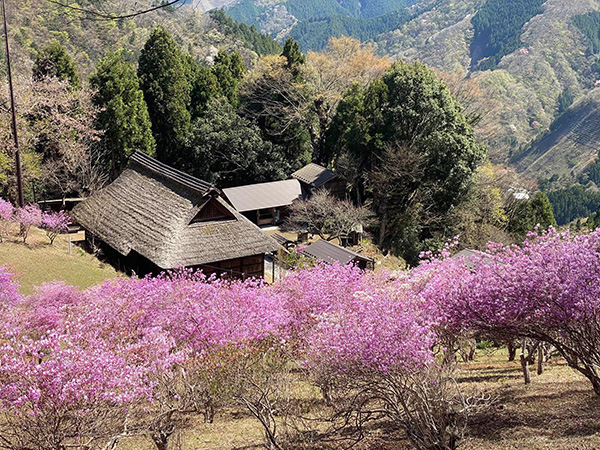 1日貸切ガイドツアー